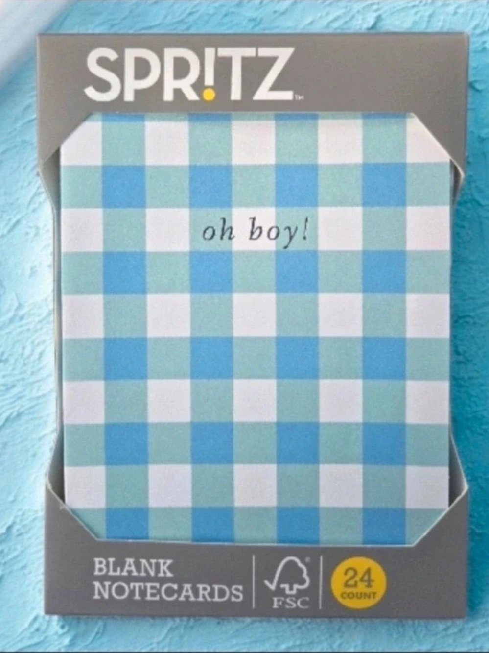 Spritz (Target) New Baby Boy Invitation Stationery Cards Gingham 24ct NWT